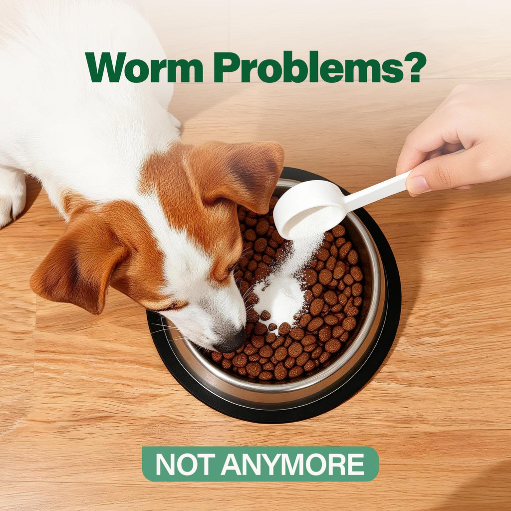 Dewormer for Dogs 50 g S145