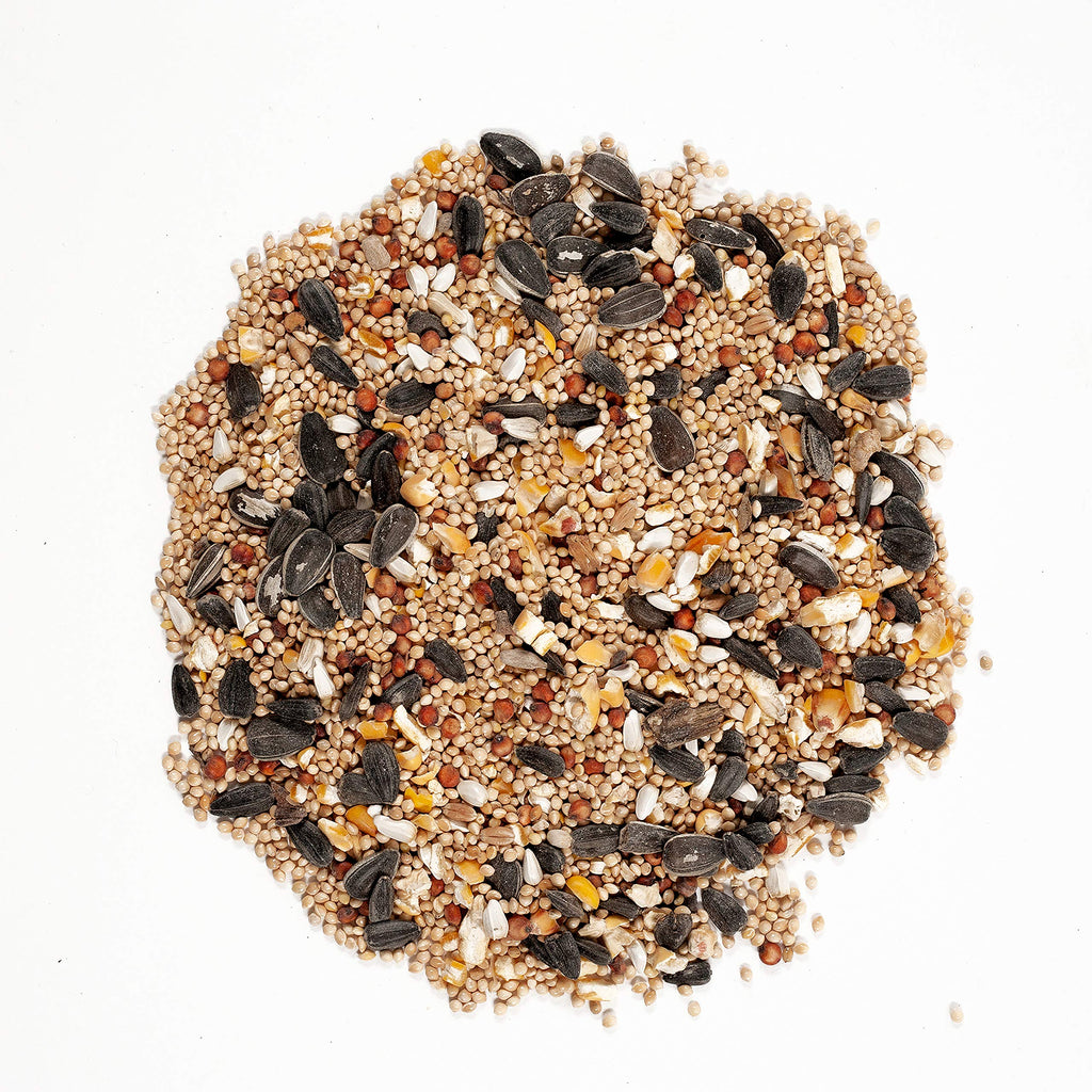 20-Pound Wild Bird Food and 5 Pound Nut & Fruit Wild Bird Food B667015